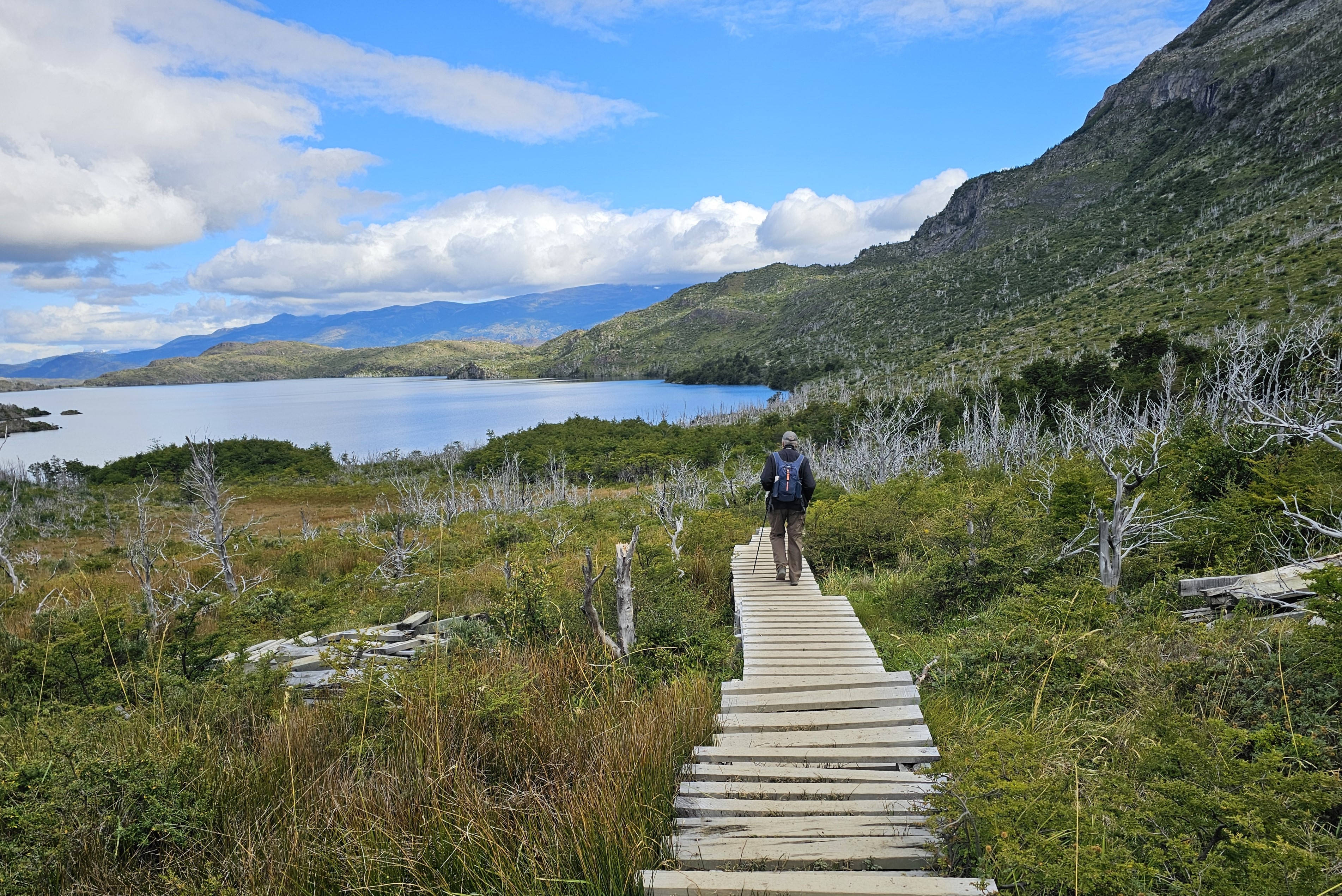 Torres del Paine